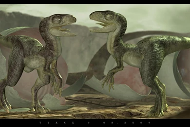 Artistic Dinosaurs Velociraptor