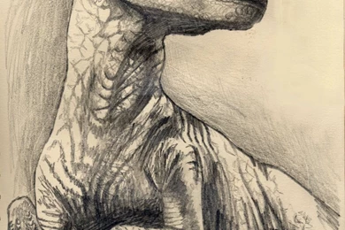 Velociraptor By Shark73 On DeviantArt