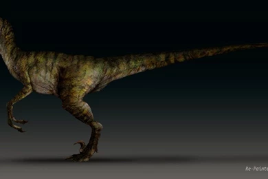 DeviantArt: More Like VELOCIRAPTOR BLUE By MANUSAURIO