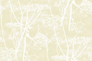 Cow Parsley (95/9053)   Cole & Son Wallpapers   A Large Scale All ...