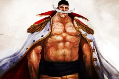 ONE PIECE Whitebeard Pirates Wallpapers