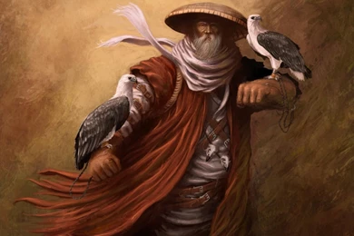 Birds Eagles Asians Beard Artwork Old People White Beard Wallpapers ...