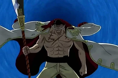 21781) One Piece Whitebeard HD Wallpapers   WalOps.com