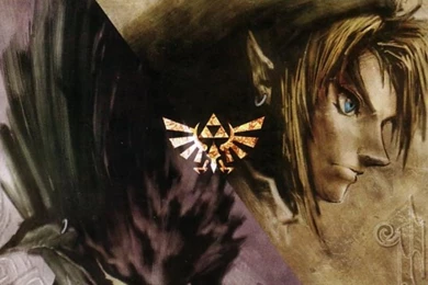 Twilight Princess Galaxy S3 Wallpapers (720x1280)