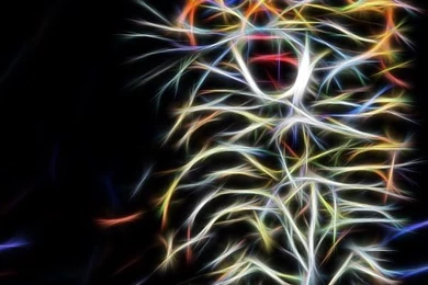 Cats Made Of Fantasy   Photography Art   600 X 1024 Backgrounds ...