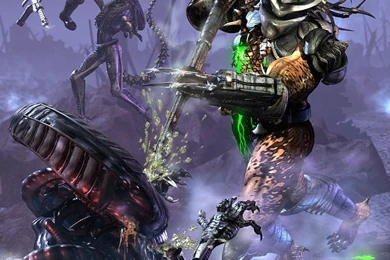 Download Wallpapers Aliens Vs Predator Wallpapers