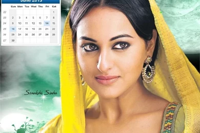 Bollywood Actress Calendar 2013