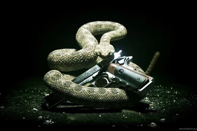 Download 1366x768 Snake And Gun Wallpapers