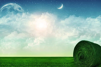 ISO Certification Consultants Home