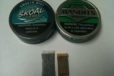 Snubie.com Snus Reviews, News, And Information.: Skoal "Snus" 2011 ...