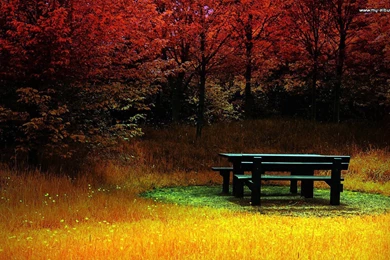 ROCKING PIC   Nature Wallpapers