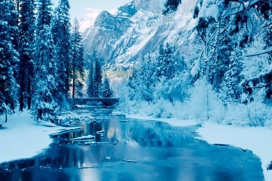 Winter Desktops Wallpapers   Wallpapers