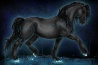 Friesian Horse By Lambidy On DeviantArt