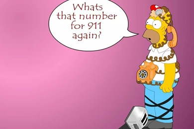 Wallpapers Funny Cartoon Homer Simpson 1024x768
