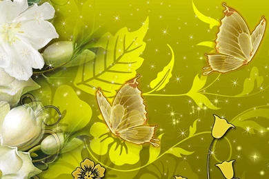 Camelia Garden Butterfly >> HD Wallpaper, Get It Now!