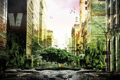 Jungle In The City Widescreen Wallpapers