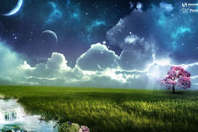 Spring In The Glamorous Photoshop Wallpapers And Images ...