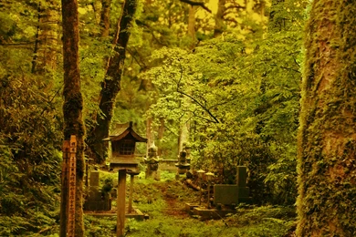 Oriental Computer Wallpapers, Desktop Backgrounds