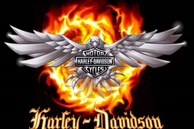 Harley Davidson Logo Wallpapers Hd   Free Android Application ...