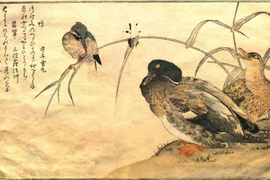 Oriental Computer Wallpapers, Desktop Backgrounds