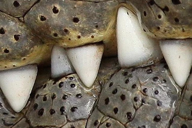 Wallpapers Full Hd 1080 X 1920 Smartphone Vertical Stiped Nebula ...