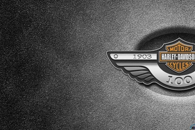 Download Wallpapers Harley Davidson Logo (dual) (1280 X 800 ...