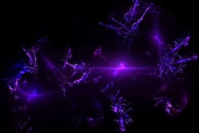 Assassin Black Dark Purple Picture And Wallpapers