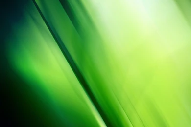 Theme Bin» Blog Archive » Leave HD Wallpapers