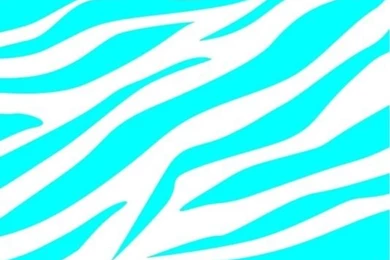 ALL ZEBRA On Pinterest