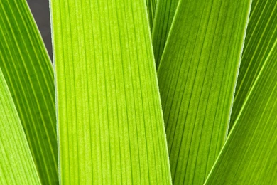 44 New Windows 7 Wallpapers 1920x1200