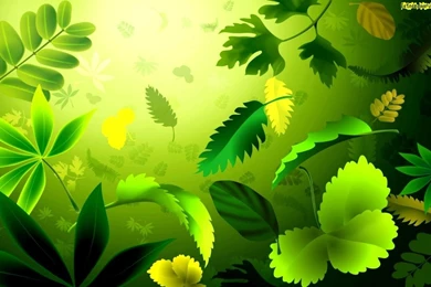 Green Hd Wallpapers 244461