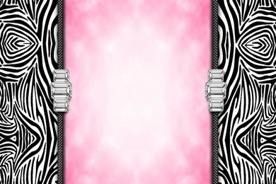 Zebra Print Wall Border   HD Wallpapers And Pictures