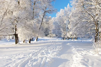 Wallpapers Colorfull Top Class Snow In Park 1600x900