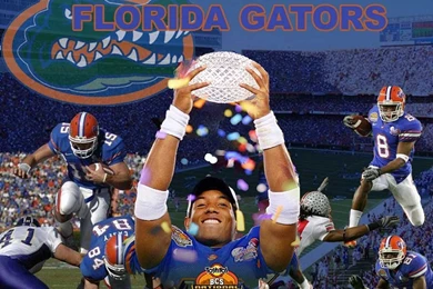 Florida Gator Desktop Wallpapers