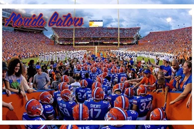 National Football League By HazZbroGaminG On DeviantArt