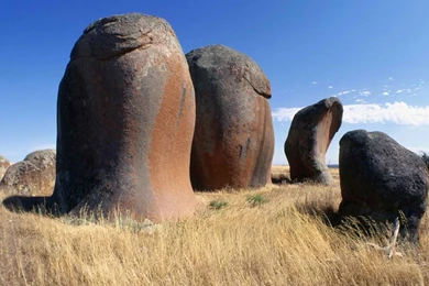 Penis South Australia Wallpapers