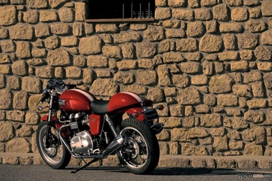 Triumph Thruxton 1440x900 Wallpapers   Motoaus.com