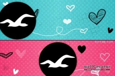 Hollister   1440 / 900 Wallpapers