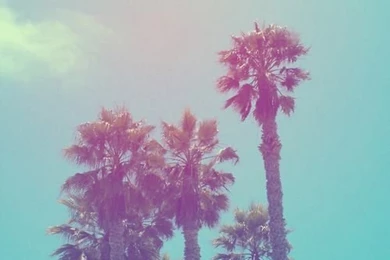 Hollister iPhone Wallpapers