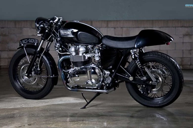 Triumph Bonneville 2010   Image