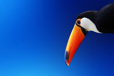 Mostre O Seu Desktop! : Temas Do Ubuntu   Página 82