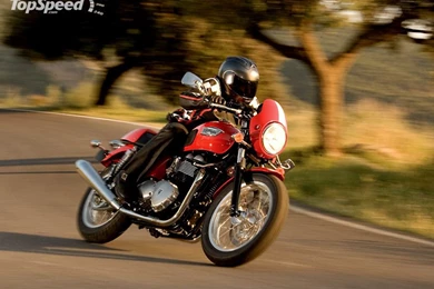 2008 Triumph Thruxton   Picture 222225