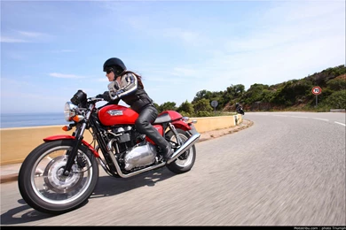 Mototribu : La Triumph Thruxton 2009