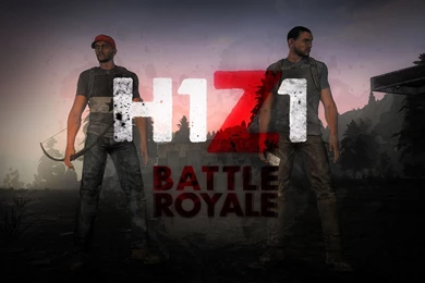 Wishlist For Battle Royale