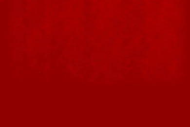 TJ Fabby Website Background Red.jpg