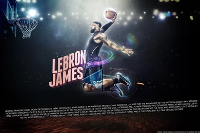 Gallery For   Lebron James Wallpapers 2014 Dunk