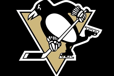Pittsburgh Penguins 2014 15 Season Updates On Pinterest ...