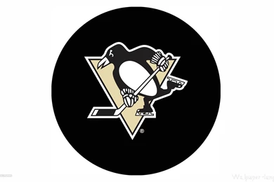 Wallpapers Hockey Pittsburgh Penguins Teams Hd 1920x1080