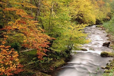 Digital Nature Photography Wallpaper9 Wallcoo.net