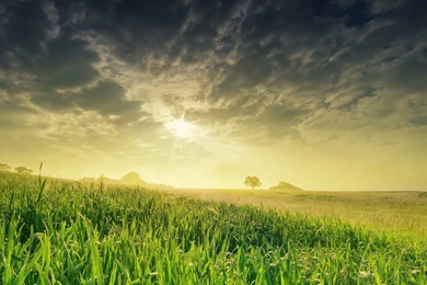 Sunset, Clouds, Landscapes, Nature, Grass, Fields, Sunlight ...